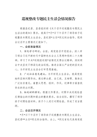巡视整改专题民主生活会情况报告
