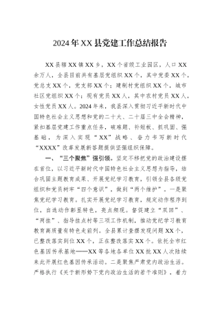 2024年XX县党建工作总结报告