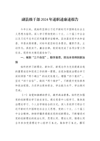 副县级干部2024年述职述廉述报告
