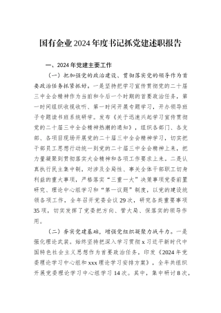 国有企业2024年度书记抓党建述职报告