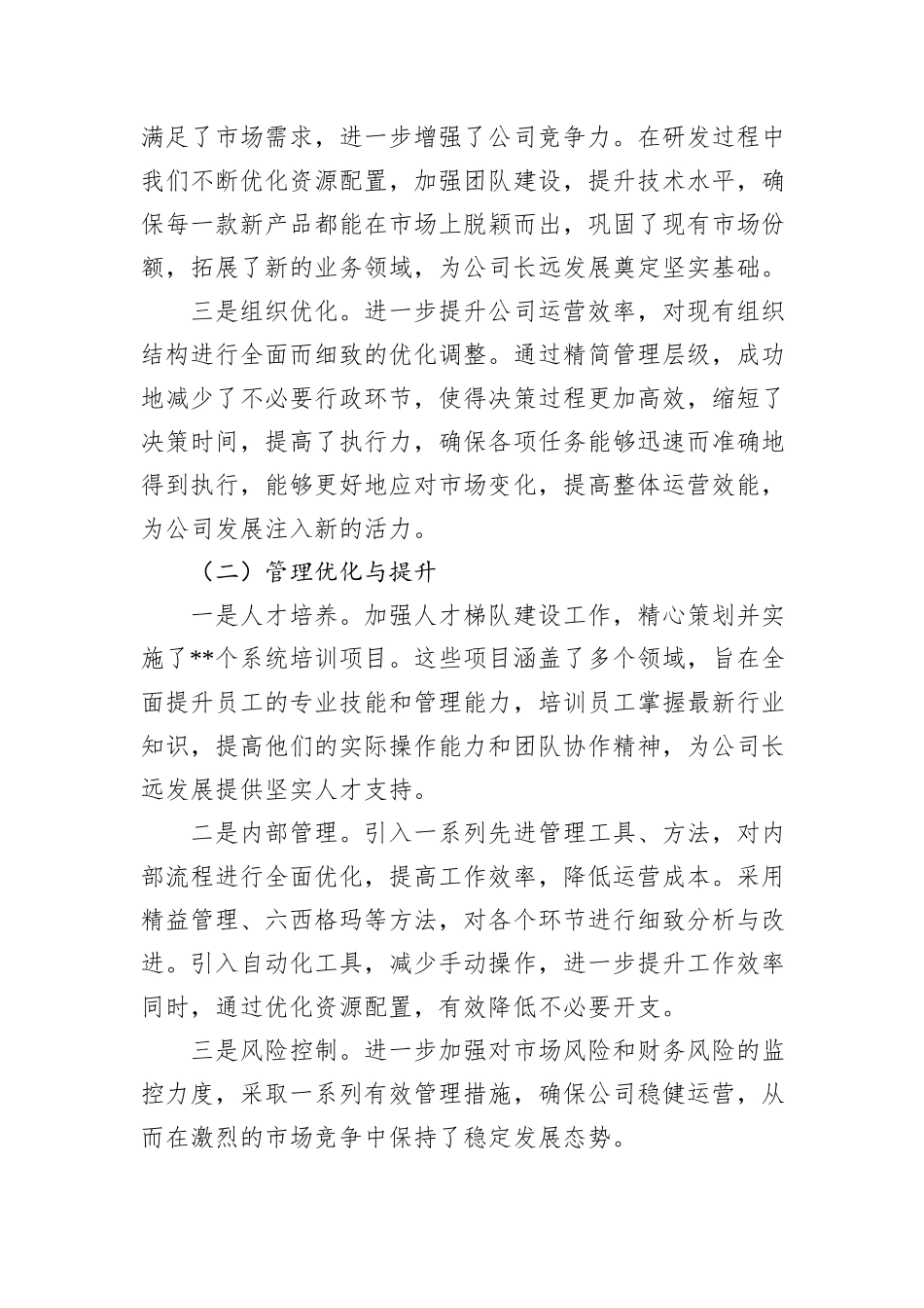 2024年度总经理个人工作总结_第2页