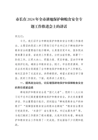 市长在2024年全市耕地保护和粮食安全专题工作推进会上的讲话