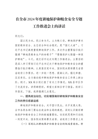 在全市2024年度耕地保护和粮食安全专题工作推进会上的讲话