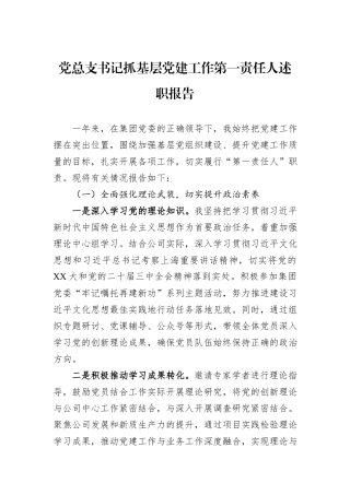 2024年党总支书记抓基层党建工作第一责任人述职报告
