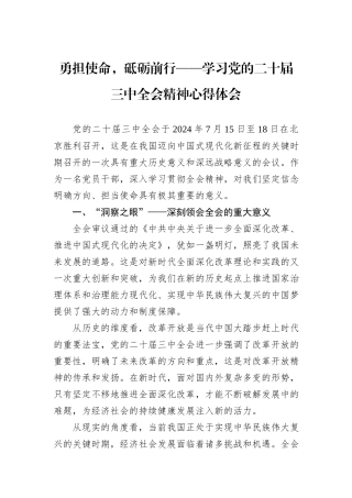 勇担使命，砥砺前行——学习党的二十届三中全会精神心得体会