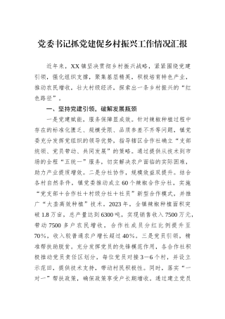 党委书记抓党建促乡村振兴工作情况汇报