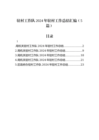 驻村工作队2024年驻村工作总结汇编（5篇）