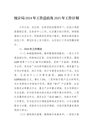 统计局2024年工作总结及2025年工作计划