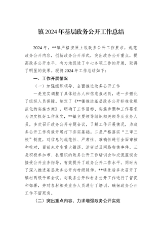 镇2024年基层政务公开工作总结
