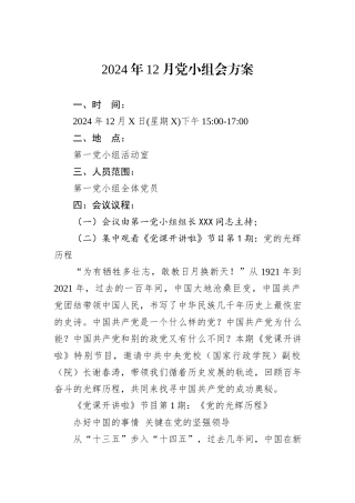 2024年12月党小组会方案