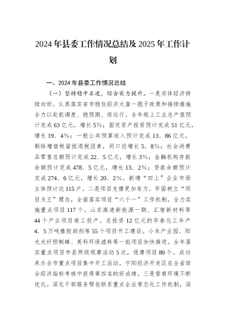 2024年县委工作情况总结及2025年工作计划