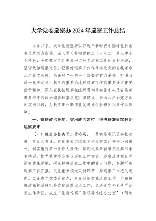 大学党委巡察办2024年巡察工作总结