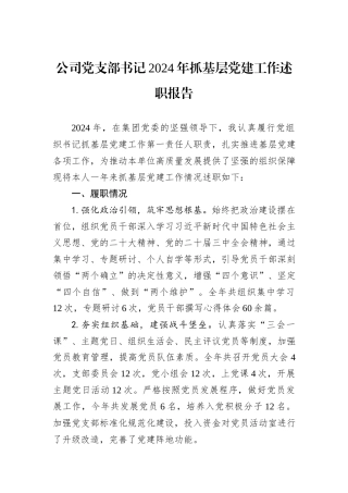公司党支部书记2024年抓基层党建工作述职报告