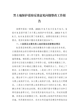 黑土地保护巡察反馈意见问题整改工作报告