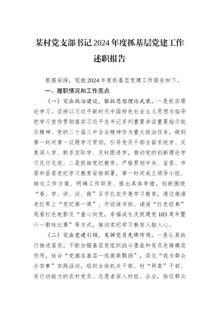 某村党支部书记2024年度抓基层党建工作述职报告