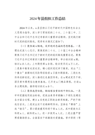 2024年县组织工作总结