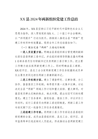 XX县2024年两新组织党建工作总结