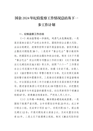 国企2024年纪检监察工作情况总结及下一步工作计划