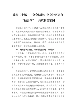 践行二十届三中全会精神：化身社区融合“粘合剂”，共筑和谐家园