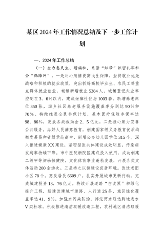 某区2024年工作情况总结及下一步工作计划
