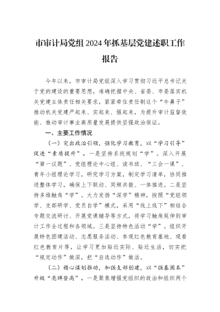 市审计局党组2024年抓基层党建述职工作报告