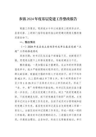 乡镇2024年度基层党建工作整改报告
