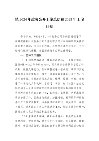 镇2024年政务公开工作总结和2025年工作计划
