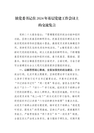 镇党委书记在2024年基层党建工作会议上的交流发言