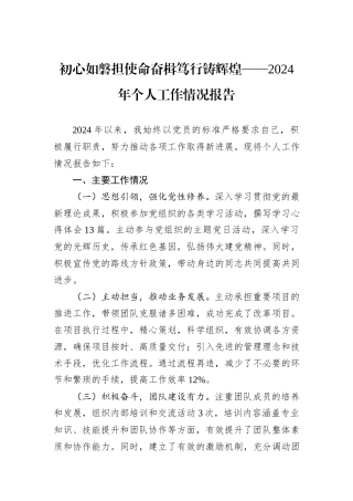 初心如磐担使命奋楫笃行铸辉煌——2024年个人工作情况报告