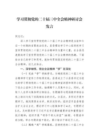 学习贯彻党的二十届三中全会精神研讨会发言