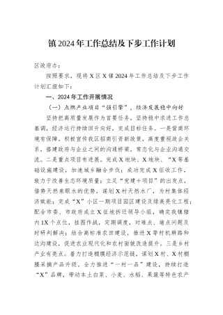 镇2024年工作总结及下步工作计划