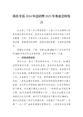 镇在全县2024年总结暨2025年务虚会的发言