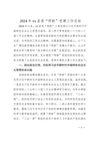 2024年xx县委“两新”党建工作总结
