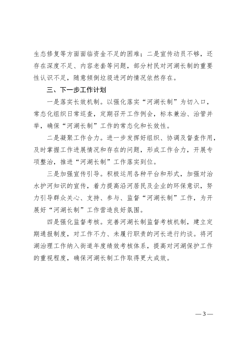 2024年度河湖长制工作述职报告_第3页