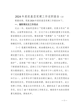 2024年度抓基层党建工作述职报告（3）