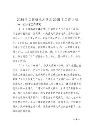 2024年工作情况总结及2025年工作计划