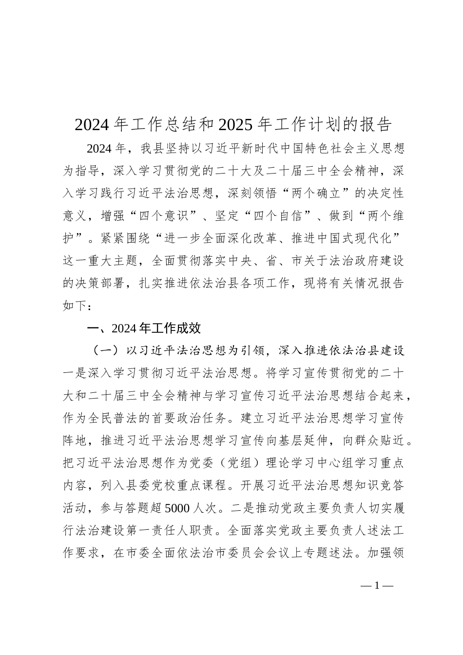 2024年工作总结和2025年工作计划的报告_第1页