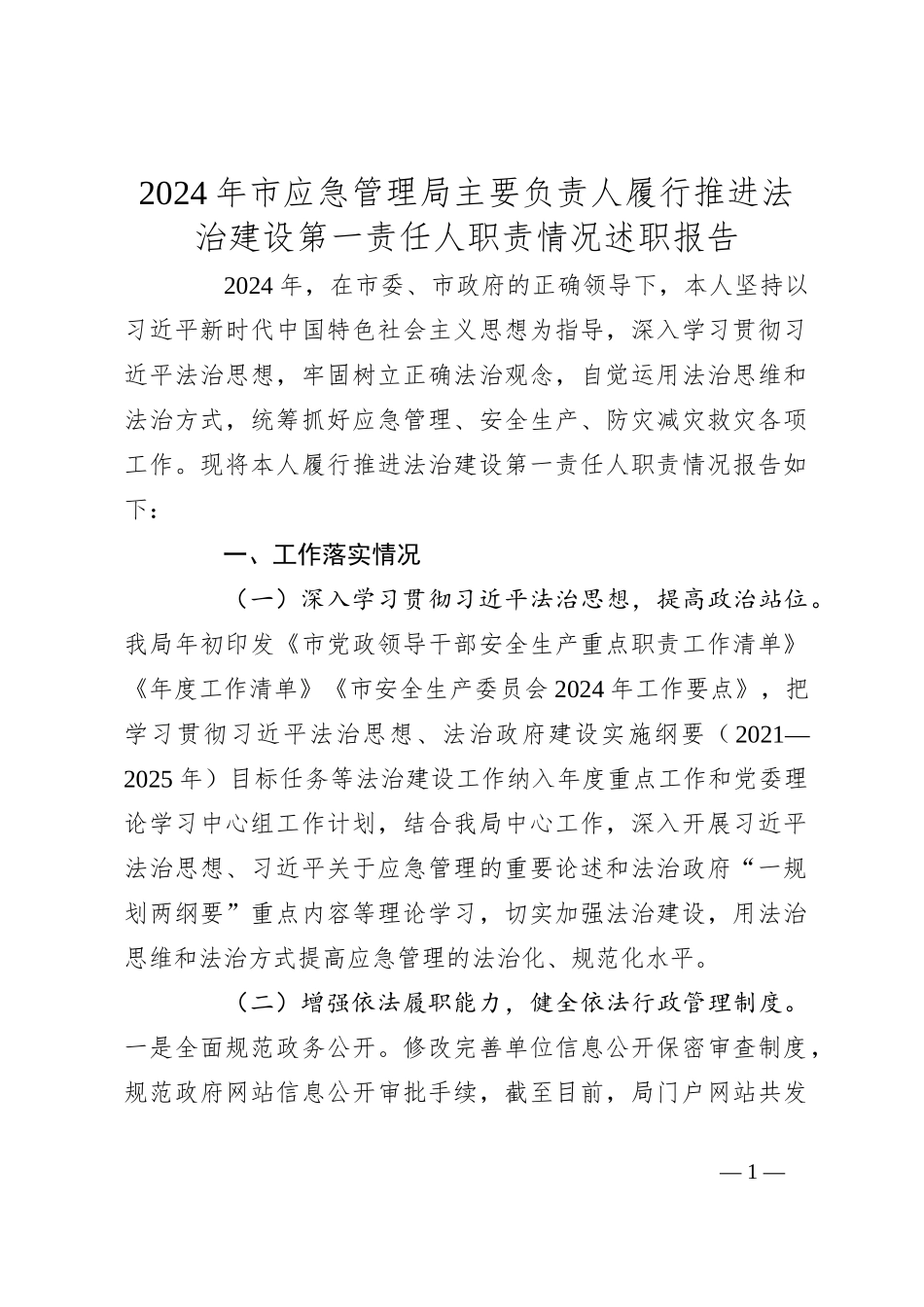 2024年市应急管理局主要负责人履行推进法治建设第一责任人职责情况述职报告_第1页