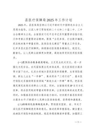 县医疗保障局2025年工作计划