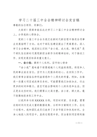 学习二十届三中全会精神研讨会发言稿