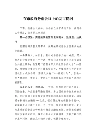 在市政府务虚会议上的发言提纲