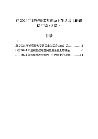 在2024年巡察整改专题民主生活会上的讲话汇编（3篇）