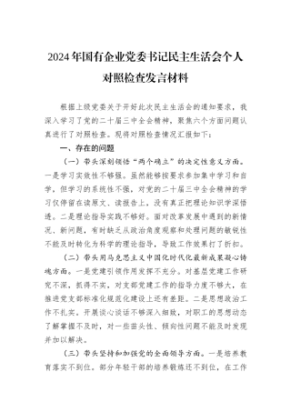 2024年国有企业党委书记民主生活会个人对照检查发言材料