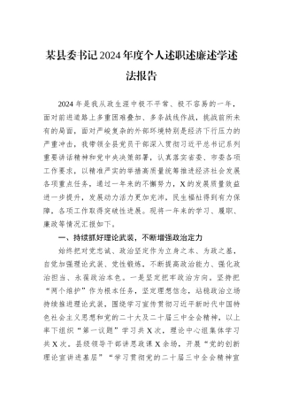 某县委书记2024年度个人述职述廉述学述法报告