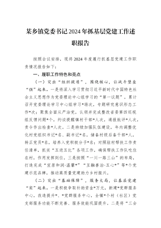 某乡镇党委书记2024年抓基层党建工作述职报告