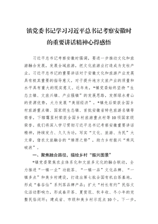 镇党委书记学习习近平总书记考察安徽时的重要讲话精神心得感悟