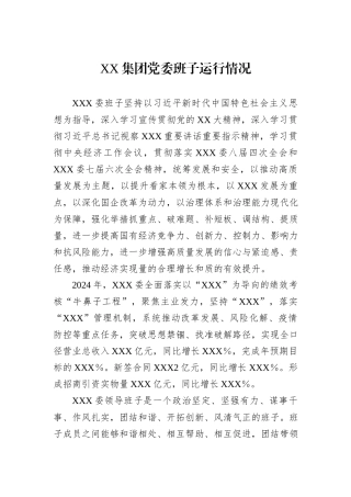 XX集团党委班子运行情况