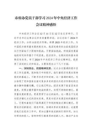 市府办党员干部学习2024年中央经济工作会议精神感悟