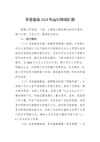 乡党建办2024年运行情况汇报