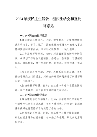 2024年度民主生活会、组织生活会相互批评意见